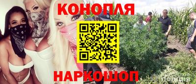 тгк Пушкино