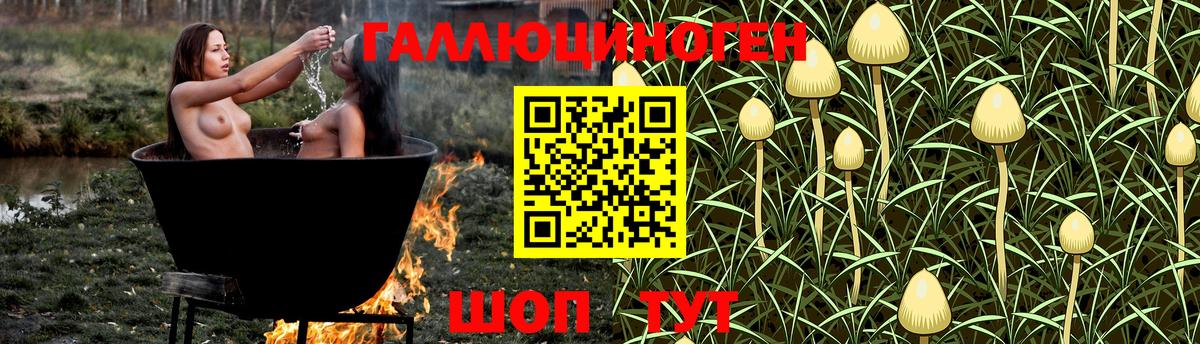 Галлюциногенные грибы ЛСД  наркотики  Сатка  Вход с VPN 