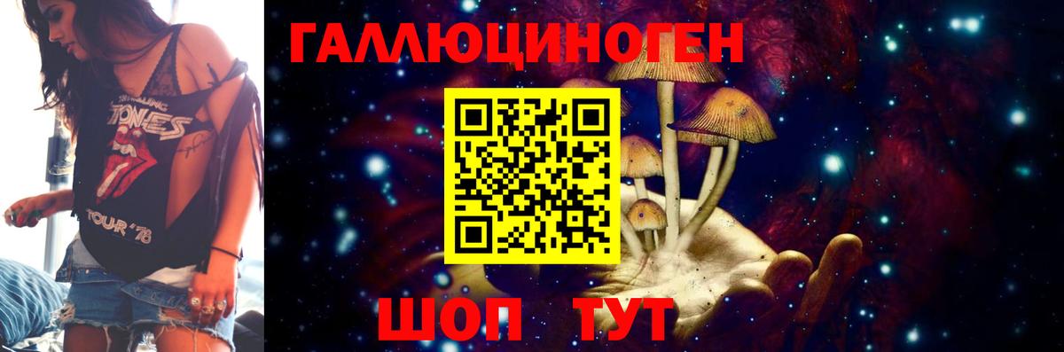 Галлюциногенные грибы Psilocybe Сатка